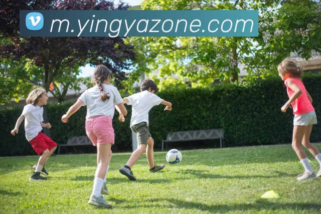 英亚官网平台平台生态图