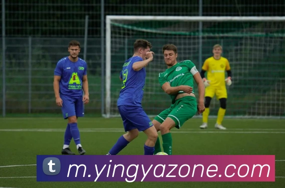 英亚官网平台APP 封面图